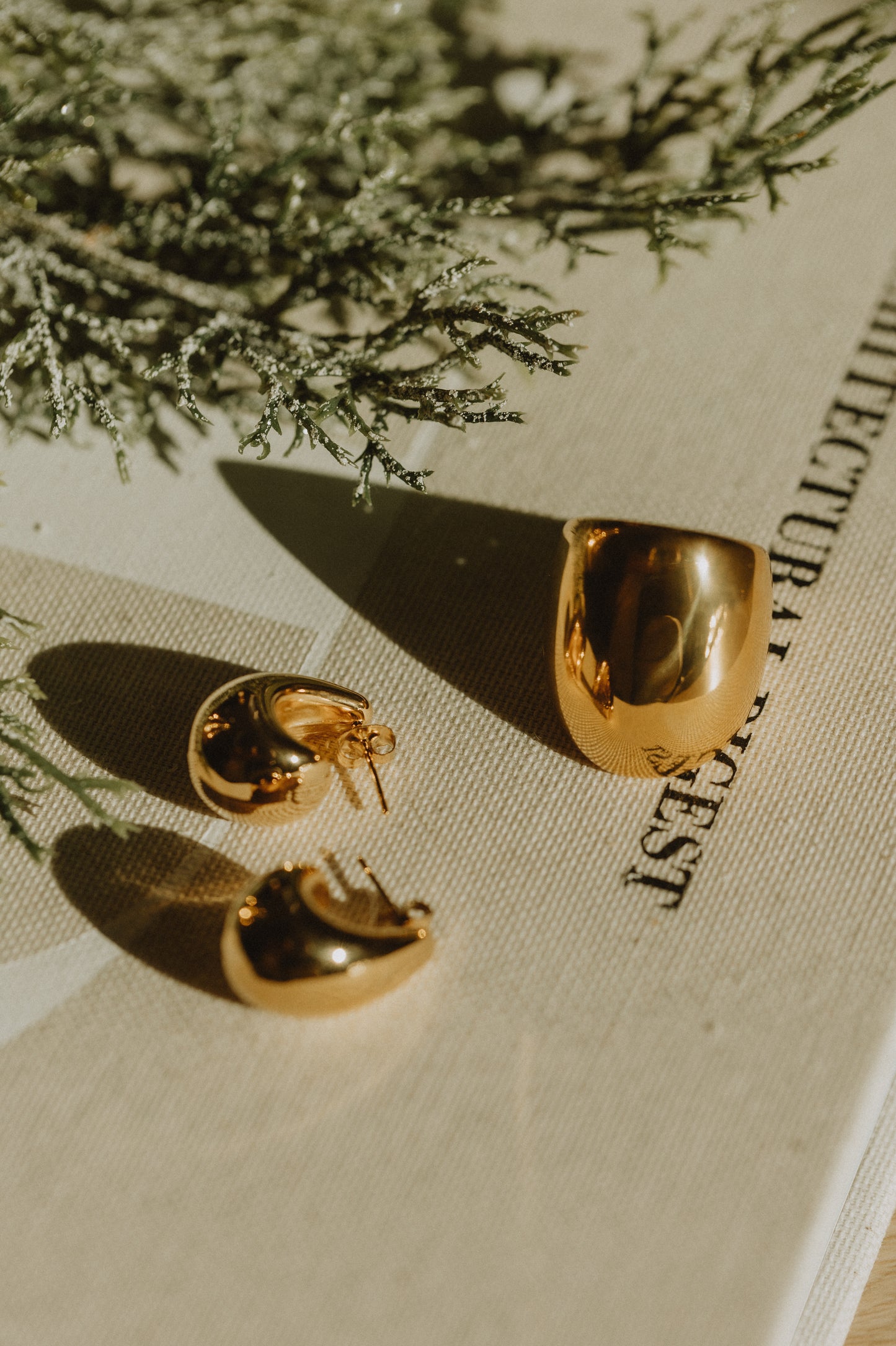 Water Drop Earrings (18k gold)