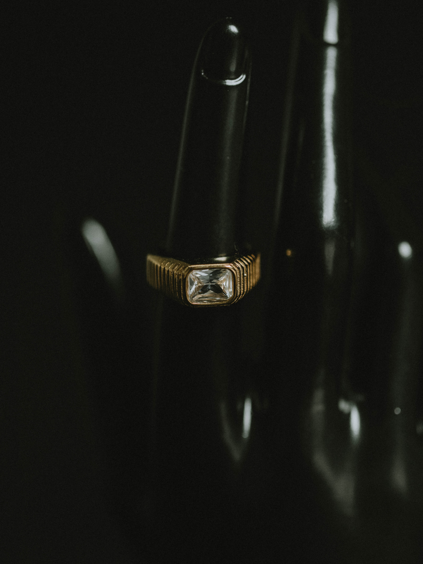 Married to the Money Ring (18k gold)