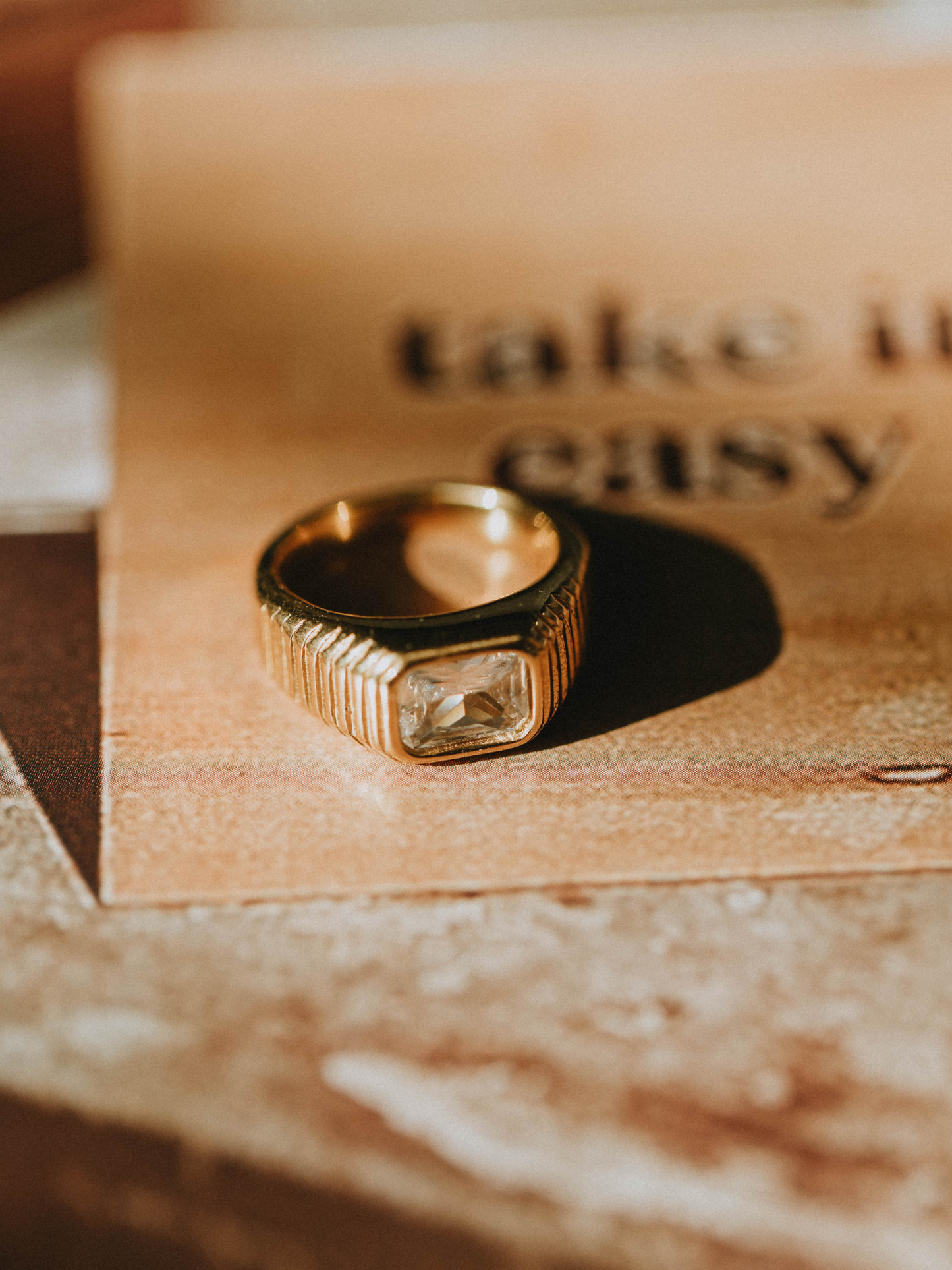 Married to the Money Ring (18k gold)